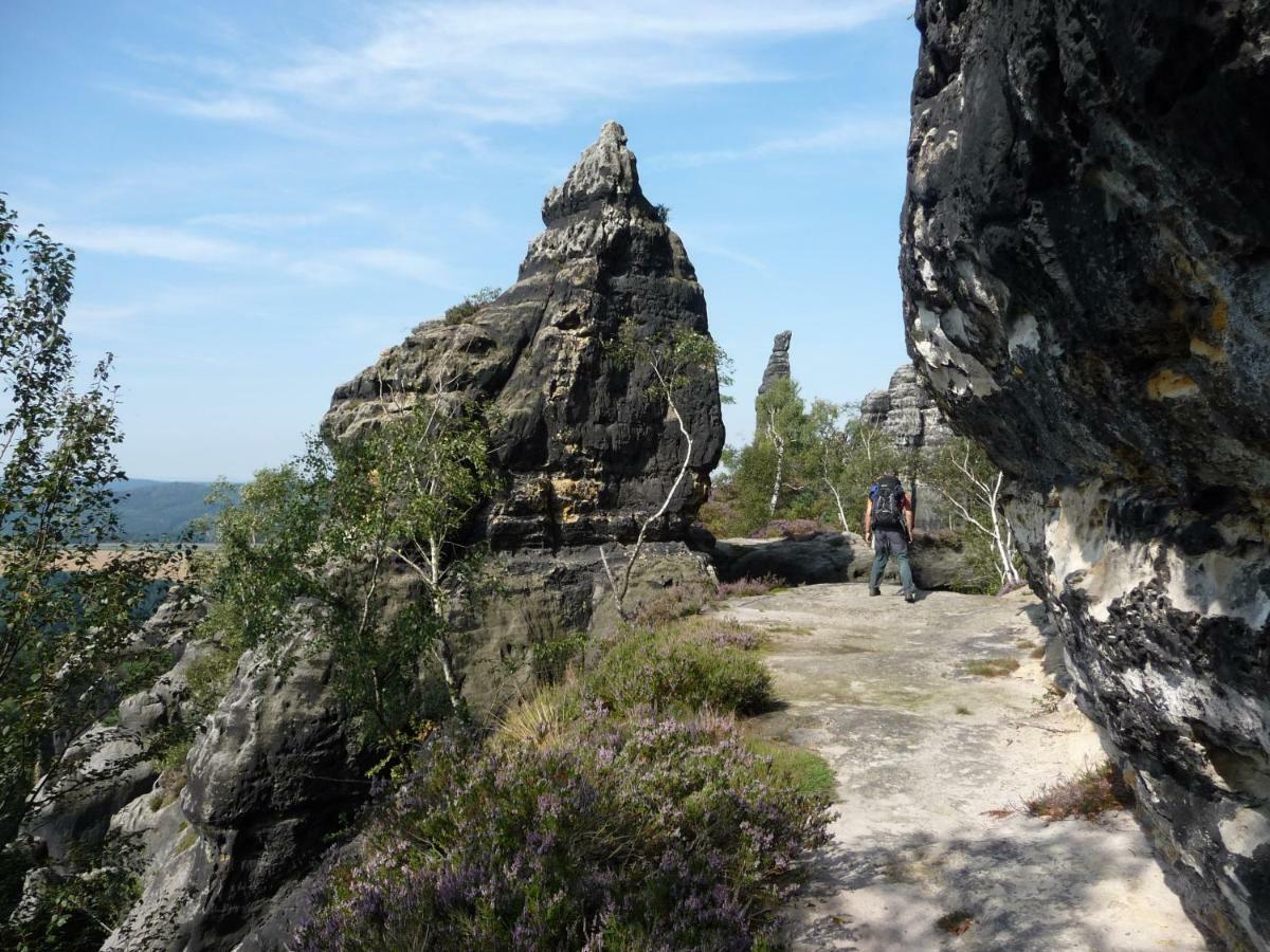 Pension Am Weinberg Saechsische Schweiz Mittelndorf 외부 사진